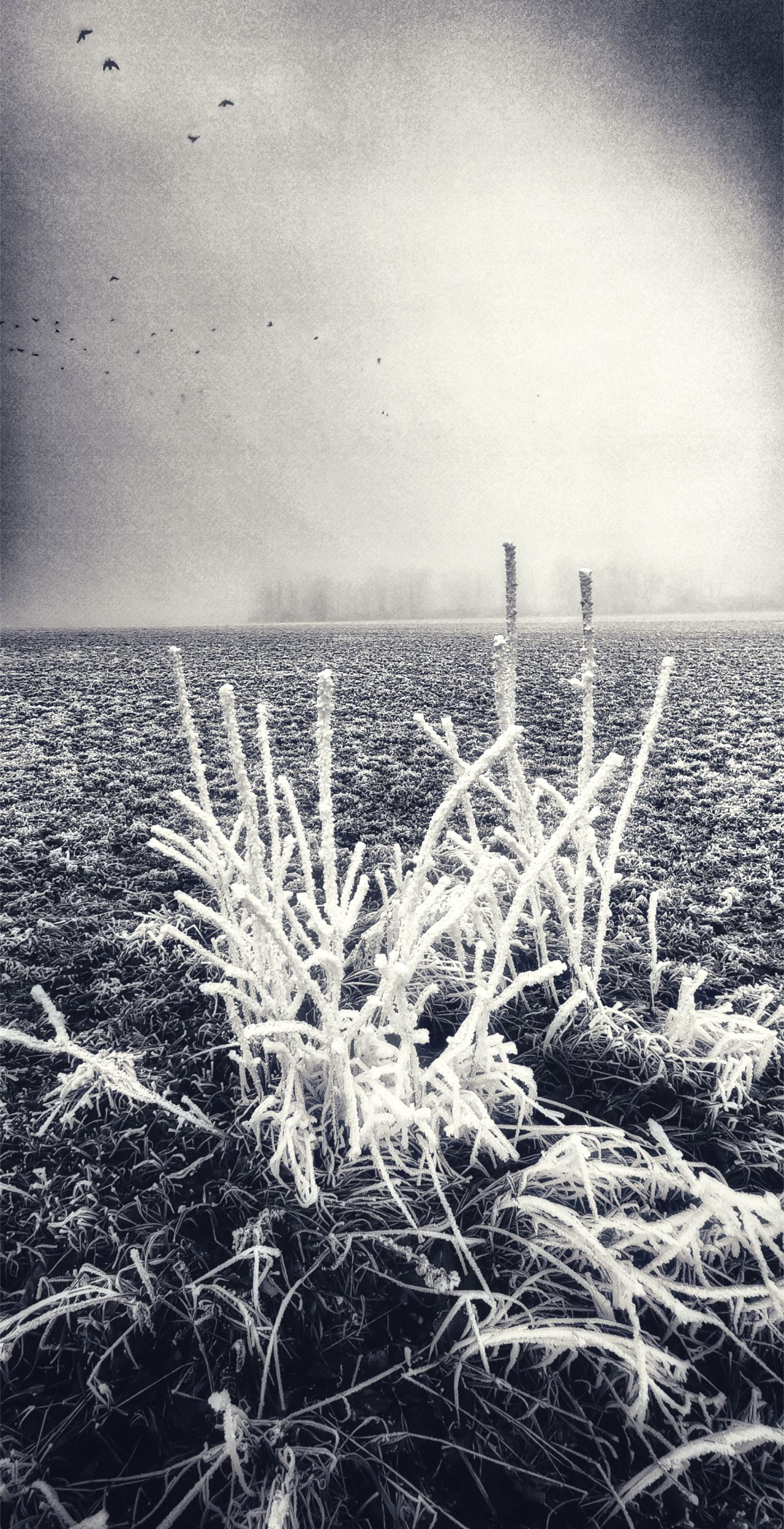 Jaroslav Kaválek/ FÁZE