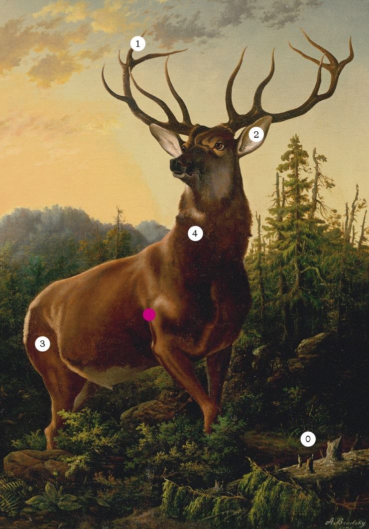 Potkat jelena/ motiv jelena a laně v moderním a současném umění