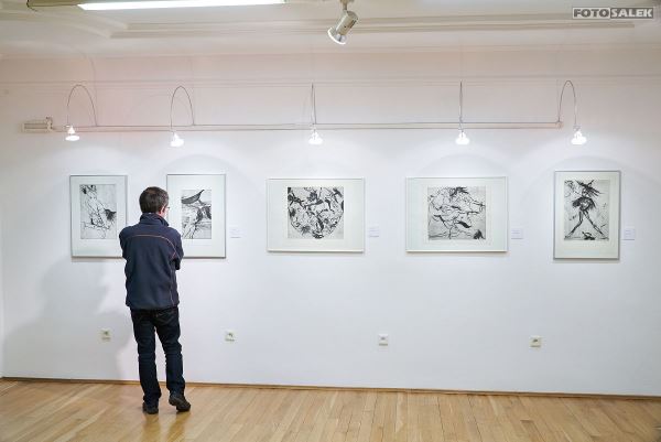 Kresba, grafika, fotografie a práce na papíře ze sbírek Galerie města Trutnova